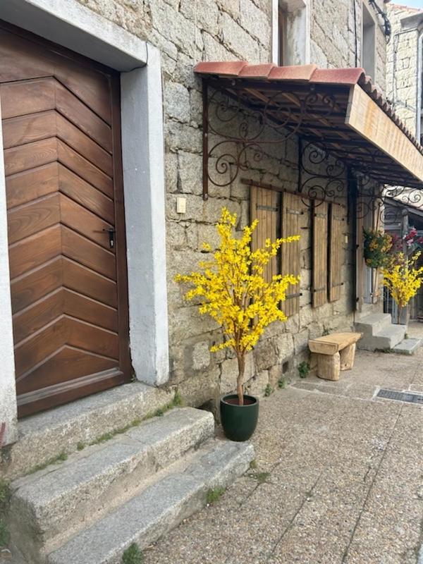 Tres Beau Studio Avec Terrasse Зонза Екстериор снимка
